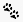 Paw Prints