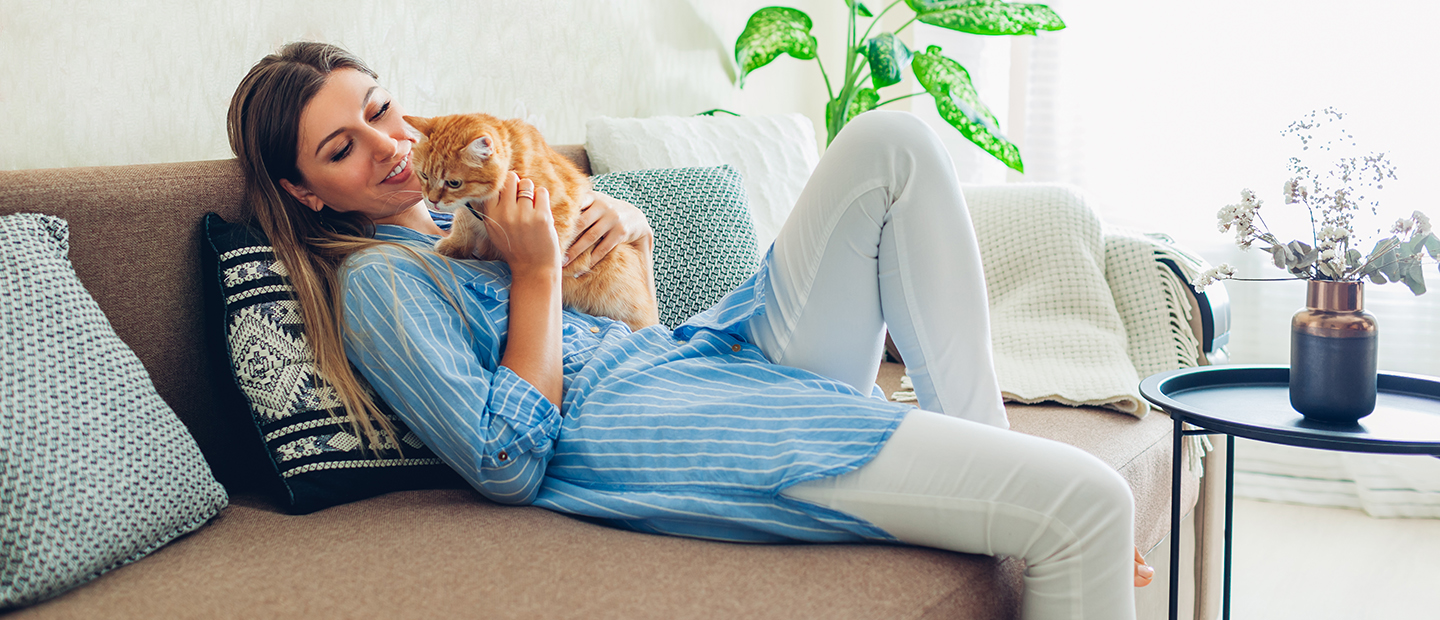 Los Angeles PetFriendly Apartments for Rent Essex