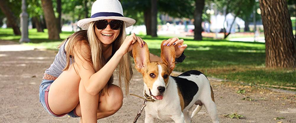 San Diego Pet Friendly Neighborhood