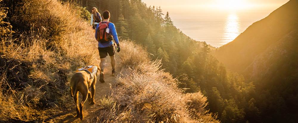 Seattle Pet Friendly Neighborhoods
