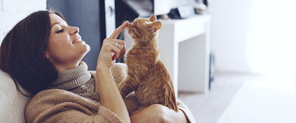 South Bay Pet Friendly Neighborhood