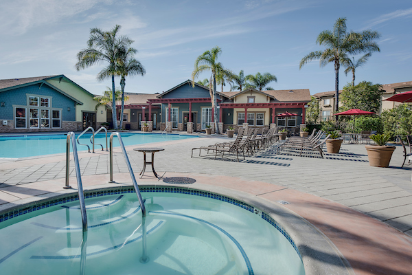 Outdoor swimming pool and spa