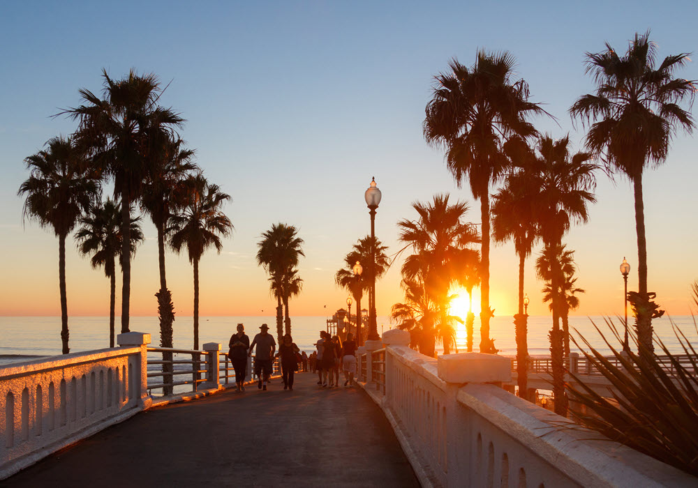 A San Diego walking bridge with palm trees at sunset.