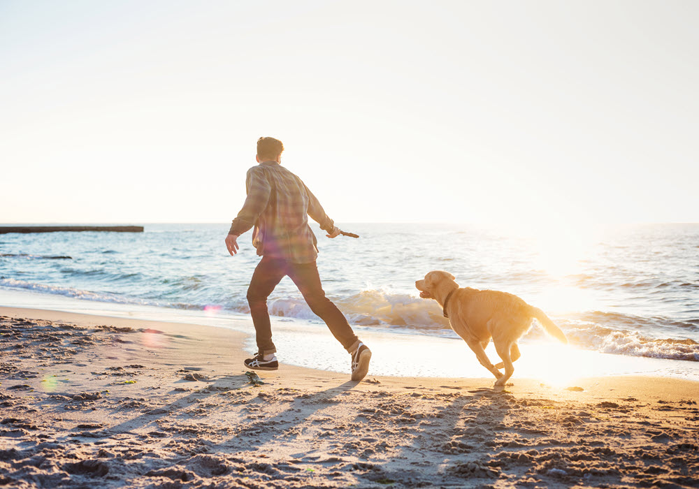 Man and his dog playing fetch at a Northern California beach.