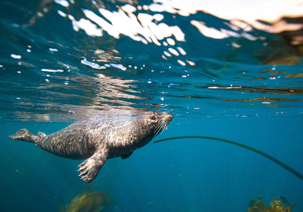 Southern California Parks and Nature Attractions 2