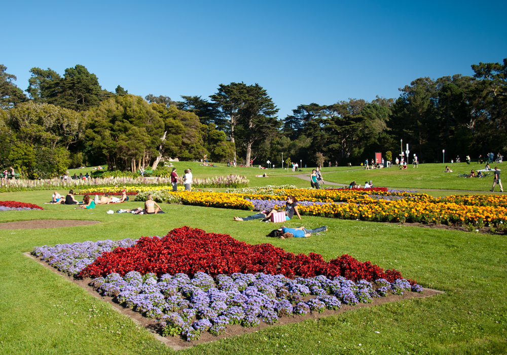 Golden Gate Park