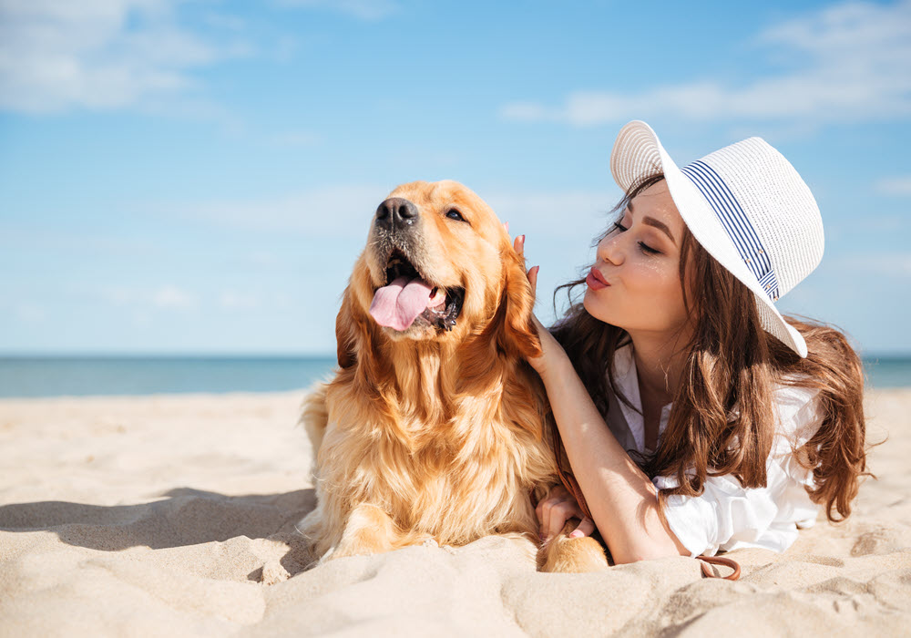 are dogs allowed on beach at national live oaks