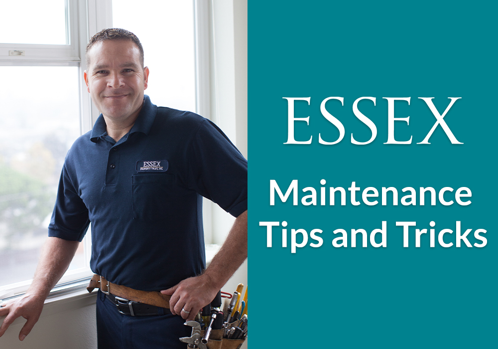 How to Prevent Garbage Disposal and Kitchen Sink Clogs Essex