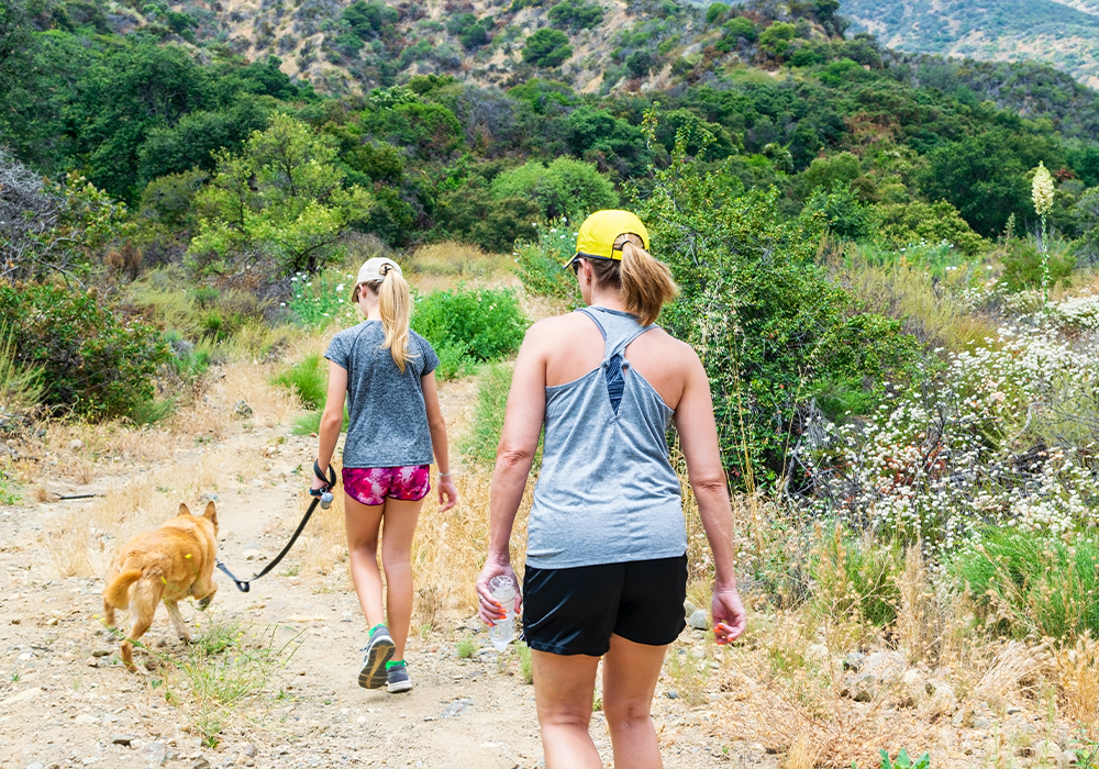 Walking trail with friends and dogs