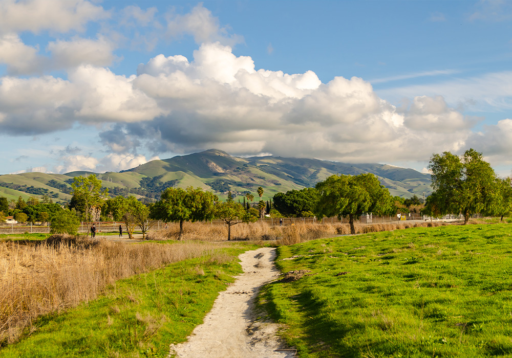 Green Living is Easy in These 6 California Cities 5