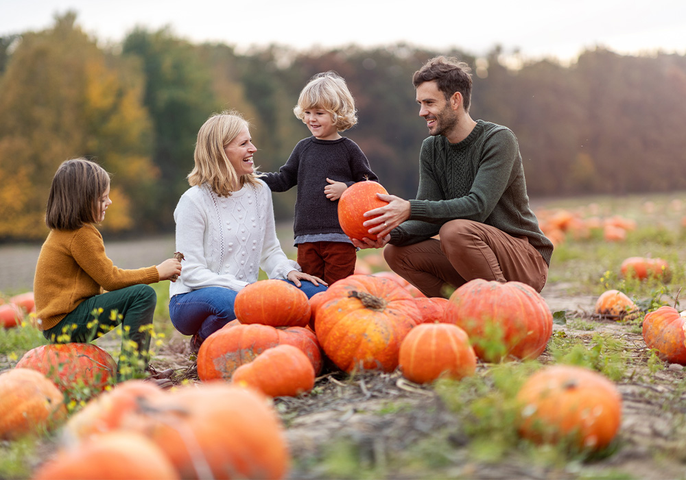 Family-friendly Fall Adventures - Pumpkin patch activity