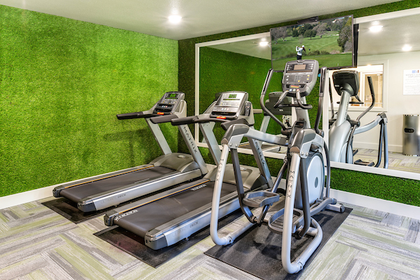 Fitness center with cardio and strength training equipment.