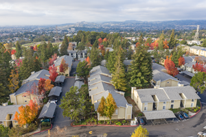 City View Apartments For Rent In Hayward Ca Essex