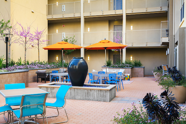 Enso Apartments Features & Community Amenities | Essex