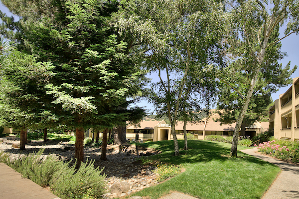 Lafayette Highlands Apartments Lafayette Ca Essex