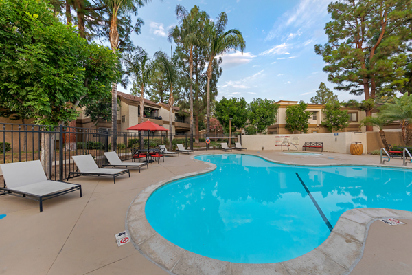 Outdoor swimming pool area with lounge seating surrounded by trees.