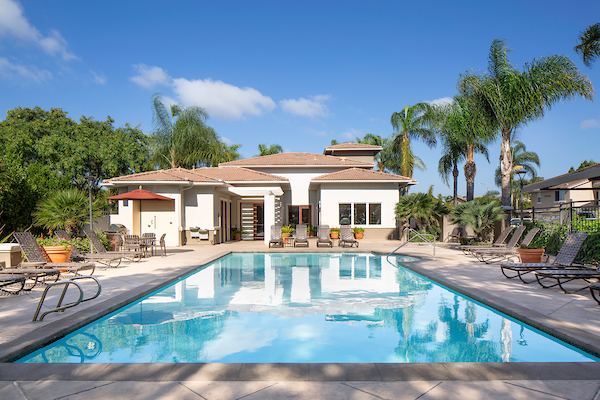 Outdoor swimming pool area with lounge seating surrounded by palm trees.