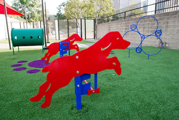 Skye at Bunker Hill Features & Community Amenities | Essex