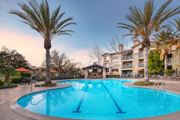 Outdoor swimming pool area surrounded by palm trees at dusk.