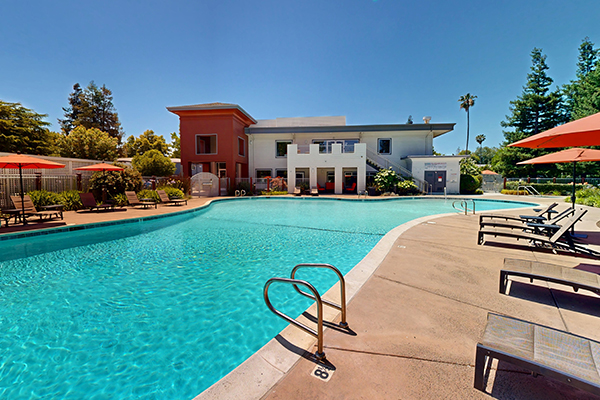 Swimming pool.