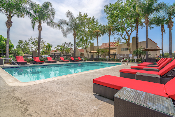 Outdoor swimming pool area with lounge seating surrounded by palm trees.
