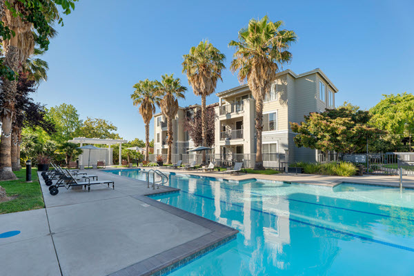 Outdoor swimming pool area with lounge seating surrounded by palm trees.