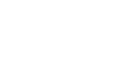 Silver Logo