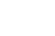 Vio Logo